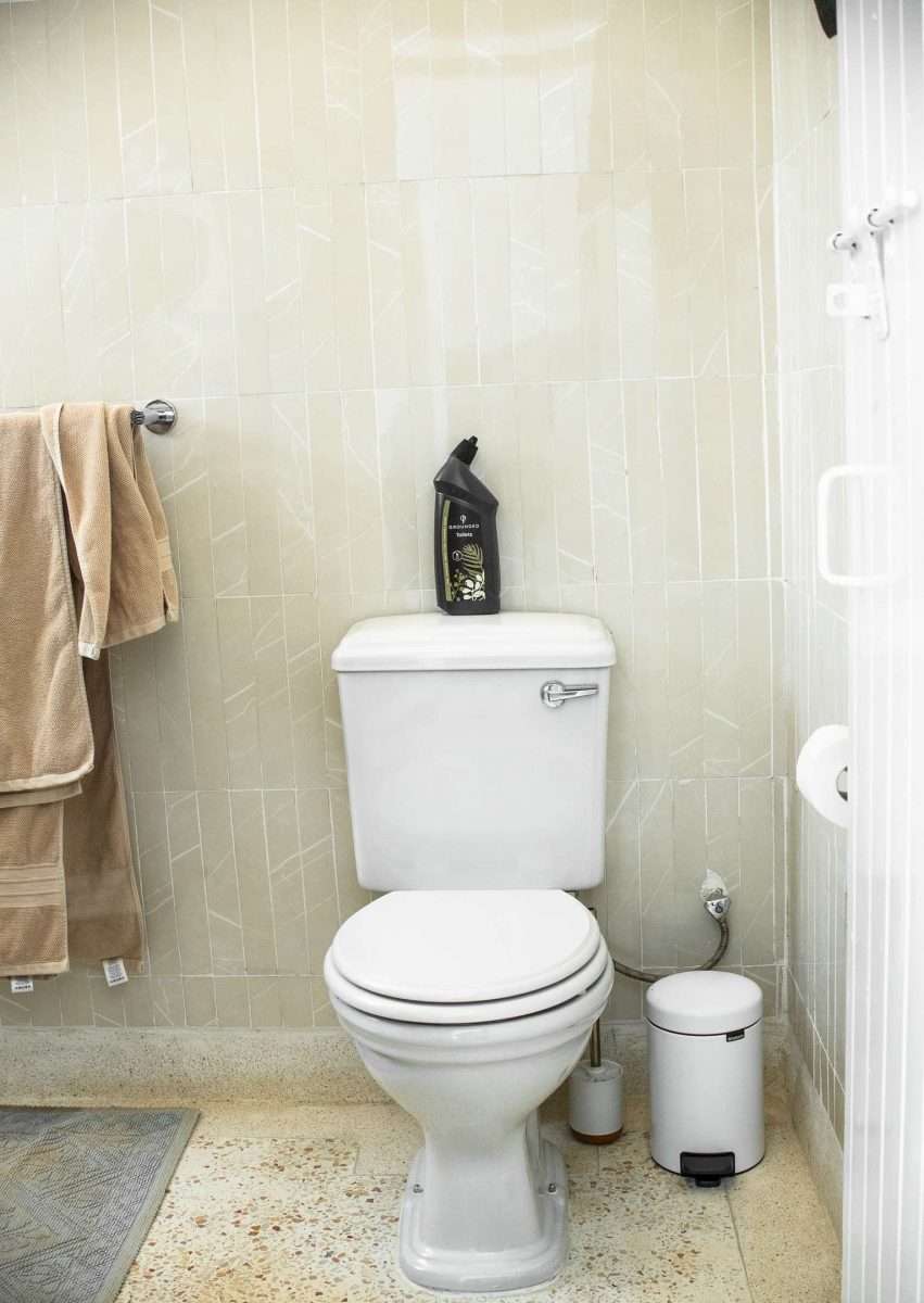 Grounded - DSC5522 scaled Toilet Cleaner - Image 2