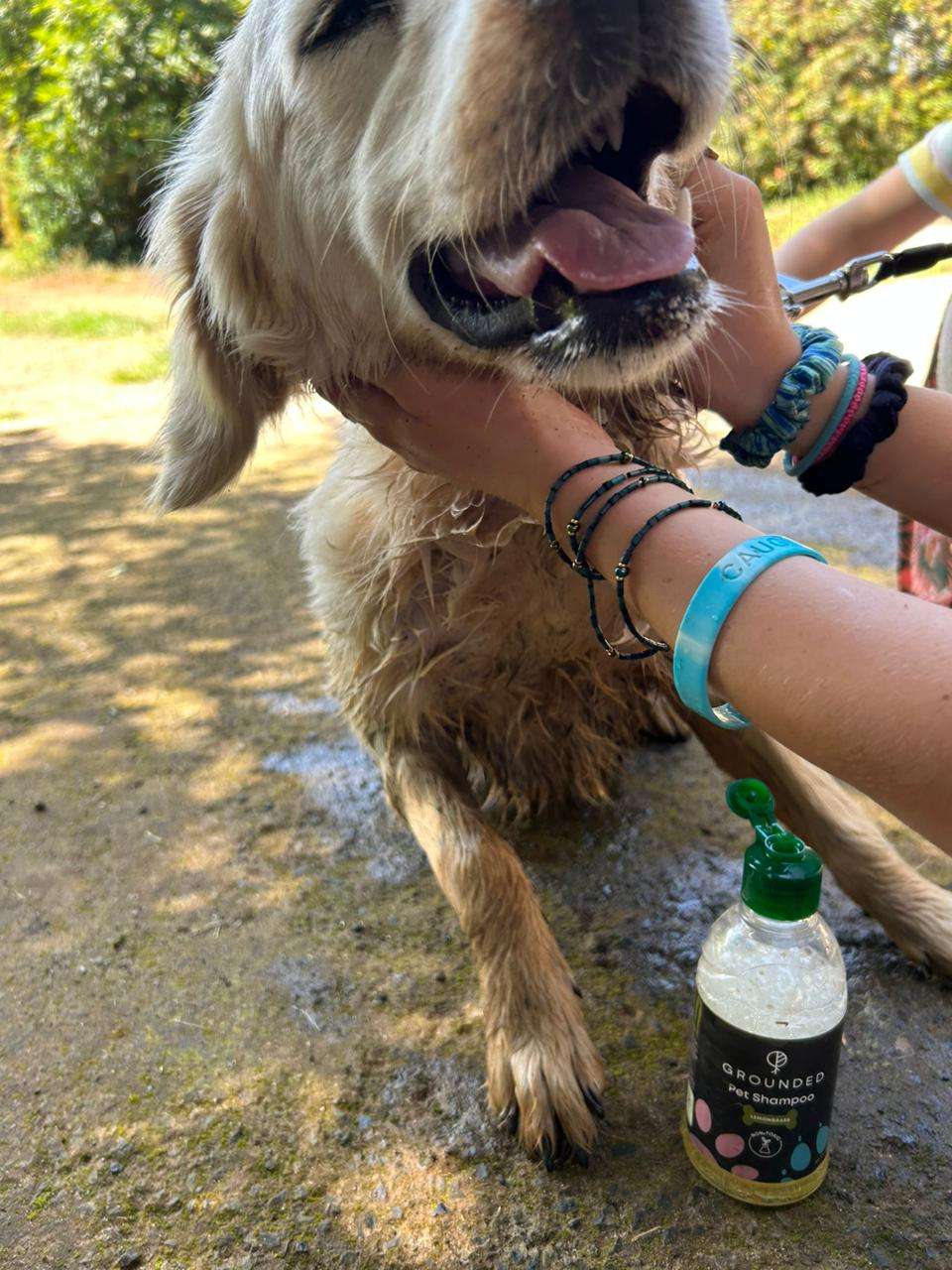 Grounded - Pet Shampoo 2 Pet Shampoo - Image 4